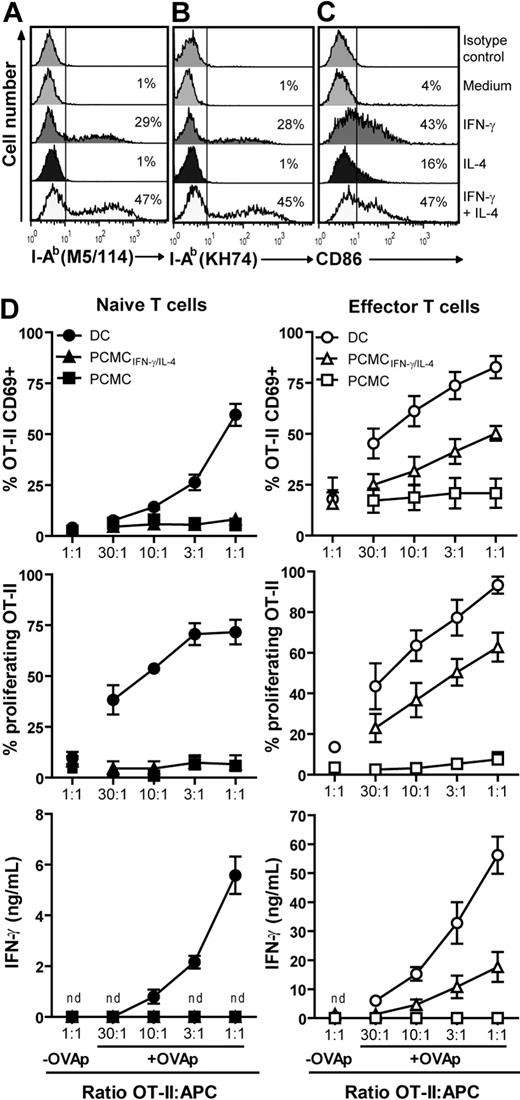 Figure 2. IFN-γ/IL-4–primed PCMCs express MHC class II and CD86 and induce functional responses in effector OT-II T cells but not in their naive counterparts. (A-C) PCMCs were incubated 72 hours with IFN-γ (50 ng/mL) or IL-4 (10 ng/mL) or with IFN-γ + IL-4. CD86 and I-Ab molecule expression (using the KH74 or M5/114 mAb) was analyzed by flow cytometry. The numbers inside the panels indicate the percentage of positive cells. Data are representative of at least 10 experiments. (D) APCs were pulsed or not for 16 hours with 10 μg/mL OVAp and cocultured with naive (left) or effector (right) OT-II T cells. OT-II T-cell activation was monitored by CD69 expression (after 20 hours of coculture), IFN-γ production (after 20 hours of coculture), and proliferation (after 72 hours of coculture). Results are presented as mean ± SEM of 4 independent experiments. nd indicates not detected.