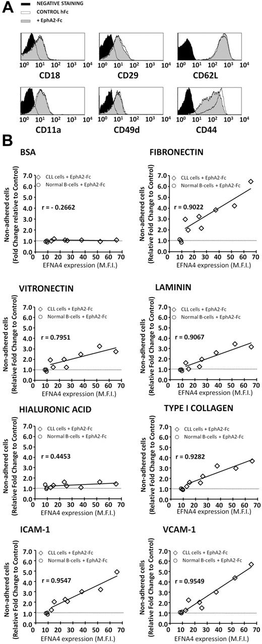 Figure 4. EFNA4 signaling of CLL cells down-modulates CD44 expression and decreases their adhesion to ECM molecules and ICAM-1 or VCAM-1 CAMs. (A) CLL cells were cultured for 1 hour in the absence (empty profiles) or presence (gray histograms) of saturating amounts (0.5 μg/106 cells) of soluble EphA2-Fc homodimers, then stained with Abs for flow cytometric analyses of CD18, CD29, CD62-L (top), CD11a, CD49d, or CD44 expressions (bottom; black histograms, background staining). A representative experiment is shown. (B) EphA2-Fc–incubated (0.5 μg/106 cells) or hFc-only–treated CLL cells (CLL nos. 1, 3, 4, 5, 8, 10, and 13), corresponding to different EFNA4 expression levels (Table 1), or normal B cells (3 samples), were cultured for 2 hours onto ECM- or CAM-coated culture wells (3 × 105/well). Nonadhered cells were recovered and counted by the use of FACS. A measure of the effect of EphA2-Fc treatment on the cells adhesion was expressed as x-fold change relative to control hFc (number of nonadhered cells recovered in the treated cultures divided by those recovered in the corresponding hFc control ones) and represented against the corresponding EFNA4 expression (MFI) as determined by FACS (r, Pearson correlation coefficient, P < .05). Values are mean from triplicates.