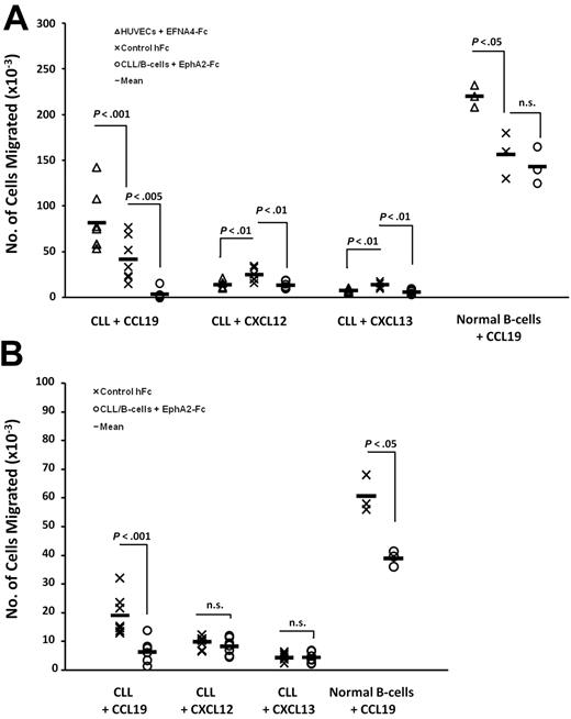 Figure 5. CCL19-, CXCL12-, or CXCL13-mediated TEM of CLL cells can be modulated by the EphA2-EFNA4 interaction. (A) CLL cells differing in EFNA4 expression (CLL nos. 1, 3, 4, 5, 8, 10, and 13) or normal B cells (3 samples; Table 1), were labeled with CFSE and added to the upper chamber of Transwell inserts (5 × 105/ well), which contained a HUVEC monolayer grown onto them and chemokines added to the lower chamber (CCL19, 500 ng/mL; CXCL12, 100 ng/mL; CXCL13, 1000 ng/mL). HUVECs or CLL/normal B cells were treated separately with EFNA4-Fc or EphA2-Fc homodimers (0.5 μg/106 cells, 30 minutes, 37°C), and chemotaxis was allowed to proceed for 2 hours. The number of cells migrated was determined by FACS. Mean values from triplicate experiments were compared with respect to control conditions (hFc-only–treated cells). The statistically significant differences are indicated by the P value. (B) Chemotaxis assays were performed as in panel A, in the absence of HUVECs and of the corresponding EFNA4-Fc treatment. Experiments were done in triplicate.