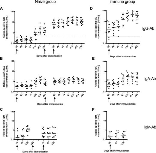Figure 2. Rabies-specific IgG, IgA, and IgM Ab responses to immunization with rabies vaccine in naive and immune volunteers. The naive volunteers (left) were immunized at days 0, 28, and 56, and the concentration of rabies-specific IgG- (A), IgA- (B), and IgM-specific Ab (C) concentration was measured at various days after the first and third doses of immunization. The immune volunteers (right) were immunized at day 0, and the frequencies of rabies IgG- (D), IgA- (E), and IgM-specific (F) Ab were measured at various days after immunization. The horizontal bars represent the geometric mean concentration at each time point. The broken line represents the World Health Organization IgG seroconversion level of 0.5 IU/mL. The magnitude of the IgG Ab response after booster immunization in the immune group was greater than after primary, secondary, and tertiary immunization in the naive group.