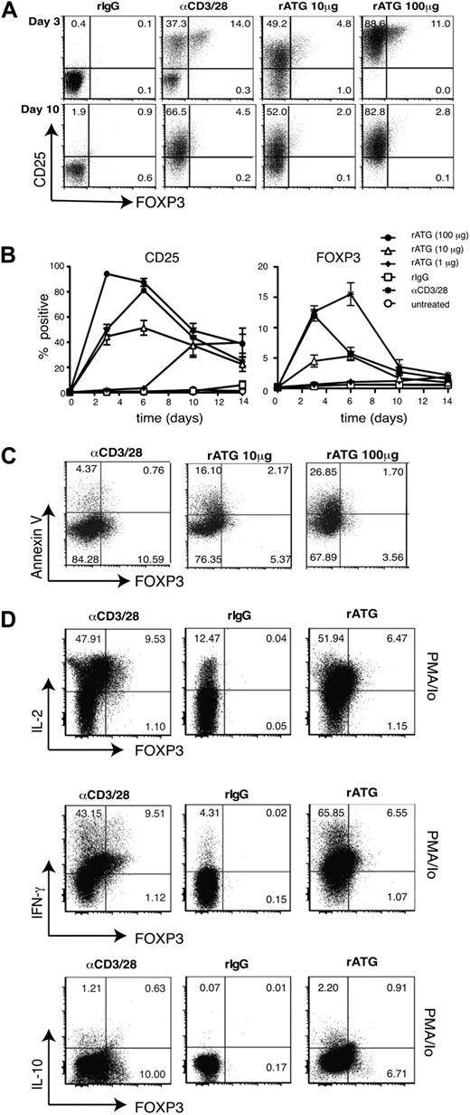 Figure 1. Effect of rATG on expression of CD25 and FOXP3, apoptosis and cytokine production. (A-B) CD4+CD25− T cells were untreated, incubated with 1, 10, or 100 μg/mL of rabbit antithymocyte globulin (rATG), rabbit immunoglobulin G (rIgG; 10 μg/mL), or anti-CD3/28–coated beads in the presence of IL-2 and analyzed for expression of CD25 or FOXP3 over 10 days. Percentage of FOXP3+ at day 3: rIgG, 0.38 ± 0.09; rATG 10 μg/mL, 4.52 ± 0.98; rATG 100 μg/μL, 12.02 ± 0.96 (P < .001; n = 10). (C) Apoptosis in cultures of CD4+CD25− T cells incubated with 10 or 100 μg/mL of rATG, or anti-CD3/28–coated beads in the presence of IL-2 for 5 days was evaluated by staining for annexin V. The average percentage of FOXP3+ annexin V+ cells (% FOXP3+ annexin V+/% FOXP3+ annexin V+ + FOXP3+ annexin V−) is as follows: anti-CD3/28, 14.81 ± 2.69; rATG 10 μg/mL, 13.21 ± 0.66; rATG 100 μg/mL, 22.37 ± 3.6. The average % annexin V+ cells in the FOXP3− gate is as follows: anti-CD3/28, 9.95 ± 2.79; rATG 10 μg/mL, 9.03 ± 1.07; rATG 100 μg/mL, 17.12 ± 5.23. n = 3; P = not significant (ns). (D) CD4+CD25− T cells were incubated with rabbit IgG (100 μg/mL), anti-CD3/28–coated beads, or rATG (100 μg/mL) in the presence of IL-2 and after 3 days cells were unstimulated or restimulated with PMA and ionomycin (Io) and analyzed for expression of IFN-γ, IL-2, IL-10, and FOXP3. The average percentage of cytokine-producing cells in the FOXP3+ gate is as follows: IL-2: anti-CD3/28, 89.2 ± 1.6; rATG 100 μg/mL, 92.7 ± 1.6; IFN-γ: anti-CD3/28, 94.1 ± 1.5; rATG 100 μg/mL, 90.8 ± 3.0, n = 6; IL-10: anti-CD3/28, 4.2 ± 0.9; rATG 100 μg/mL, 8.23 ± 2.2 (P = ns). Data are representative of 10 (A-B), 3 (C), and 6 (D, IL-2 and IFN-γ) and 3 (D, IL-10) experiments with different donors.