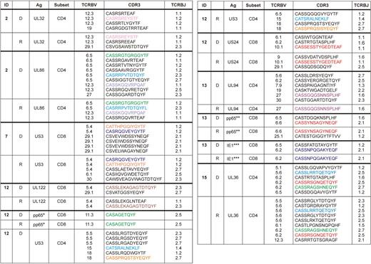 Clonal composition of CMV-specific T cells to different ORFs, pp65, and IE-1 in donor-recipient pairs