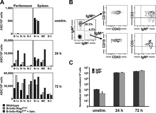Figure 5. Fast LPS-induced IgM response of B-1 and MZ cells. (A) FACS-purified peritoneal B-1a, B-1b, and B-2 cells, and splenic B-1a, MZ, and B-2 cells of induced B-Indu-Rag1fl/fl mice or control-treated wild-type mice (BALB/c and B-Indu-Rag1fl/wt mice) were cultured in the absence or presence of LPS. For each condition, the number of antibody-secreting cells per 105 cells was determined by IgM-specific ELISPOT at indicated time points. For details on sorting strategies and purities, see supplemental Figure 4. (B) Peritoneal cells from 3 pooled Rag1−/− recipient mice 4 weeks after transfer were stained for IgMa, IgMb, CD43, CD19, and CD5, and analyzed by flow cytometry. Numbers in quadrants indicate percentages of cells per viable, lymphoid cells. (C) Peritoneal washout cells from Rag1−/− recipient mice were cultured in the absence or presence of LPS. The number of antibody-secreting cells per 106 cells was determined by an IgM allotype-specific ELISPOT at indicated time points and normalized with regard to the allotype-positive input at day 0.