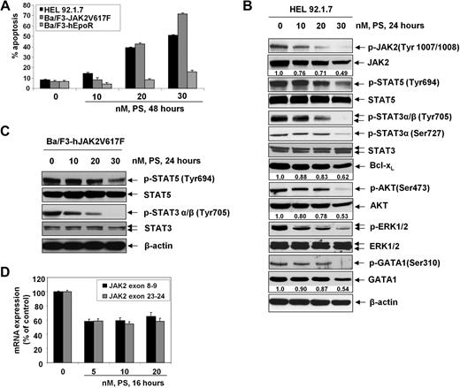 Figure 1. Treatment with panobinostat inhibits JAK2 mRNA expression and JAK/STAT signaling and induces apoptosis of myeloproliferative disorder (MPD) cells and Ba/F3 cells with ectopic overexpression of JAK2V617F. (A) HEL, Ba/F3-JAK2V617F, and Ba/F3-hEpoR cells were treated with the indicated concentrations of panobinostat (PS) for 48 hours. After this, the cells were stained with annexin-V and propidium iodide and the percentages of apoptotic cells were determined by flow cytometry. Columns represent mean of 3 independent experiments; bars represent SEM. (B) HEL cells were treated with the indicated concentrations of PS for 24 hours. Then, total cell lysates were prepared and immunoblot analyses were performed for pJAK2 (Tyr1007/1008), JAK2, pSTAT5 (Tyr694), STAT5, pSTAT3 (Tyr705), pSTAT3 (Ser727), STAT3, Bcl-xL, pAKT (Ser473), AKT, pERK1/2, ERK1/2, pGATA-1 (Ser310), and GATA-1. The expression levels of β-actin in the lysates served as the loading control. (C) Ba/F3-JAK2V617F cells were treated with the indicated concentrations of PS for 24 hours. After treatment, cell lysates were prepared and immunoblot analyses were performed for pSTAT5 (Tyr694), STAT5, pSTAT3 (Tyr705), and STAT3. The expression levels of β-actin in the lysates served as the loading control. (D) HEL cells were treated with the indicated concentrations of PS for 16 hours, then mRNA was isolated and reverse transcribed. Quantitative real-time PCR was performed on the cDNA using TaqMan probes for the exon 8 to 9 boundary and exon 23 to 24 boundary of JAK2. Relative expression of JAK2 mRNA was normalized to GAPDH expression.