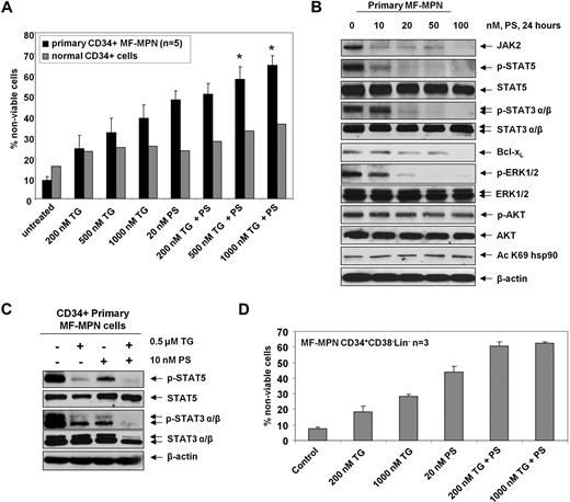 Figure 6. Cotreatment with PS and/or TG exerts greater down-regulation of JAK2 and downstream signaling, as well as greater cytotoxicity than either agent alone in primary MF-MPN cells. (A) CD34+ progenitor cells isolated from primary MF-MPN peripheral blood samples and normal CD34+ bone marrow progenitor cells were treated with the indicated concentrations of TG and/or panobinostat for 48 hours. After treatment, the percentages of nonviable cells were determined by trypan blue dye uptake in a hemocytometer. * indicates values significantly greater (P < .05) than treatment with either agent alone. (B) Primary MF-MPN cells were treated with the indicated concentrations of PS for 24 hours. Cell lysates were prepared and immunoblot analyses were performed for JAK2, pSTAT5 (Tyr694), STAT5, pSTAT3 (Tyr705), STAT3, Bcl-xL, pAKT (Ser473), AKT, pERK1/2, ERK1/2, and acetylated K69 hsp90. The expression levels of β-actin in the lysates served as the loading control. (C) Primary MF-MPN cells were treated with the indicated concentrations of TG and/or panobinostat for 24 hours. Then, cell lysates were prepared and immunoblot analyses were performed for JAK2, pSTAT5 (Tyr694), STAT5, pSTAT3 (Tyr705), and STAT3. The expression levels of β-actin in the lysates served as the loading control. (D) Primary CD34+CD38−Lin− stem cells from MF-MPN patients were treated with the indicated concentrations of TG and PS for 48 hours. After treatment, the percentages of nonviable cells were determined by trypan blue dye uptake in a hemocytometer.