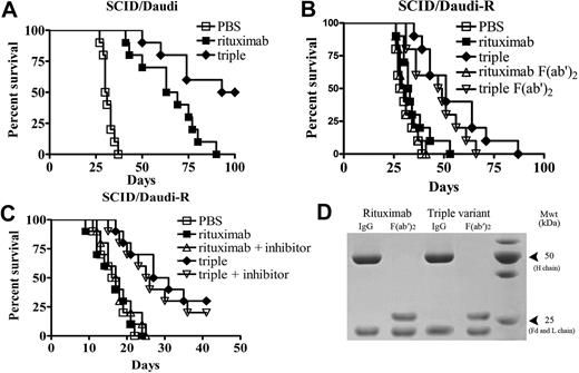 Figure 6. The survival of tumor-bearing SCID mice treated with anti-CD20 mAbs. Groups of 10 SCID mice were injected intravenously with 3.5 × 106 Daudi (A) or Daudi-R cells (B). Five days after tumor cell inoculation, the mice were treated with rituximab or triple variant at a dose of 100 μg. For F(ab′)2 fragment treatment groups, groups of 10 SCID mice were injected with 3.5 × 106 Daudi-R cells intravenously on day 0 and then treated with 100 μg F(ab′)2 fragments intravenously on day 7. Additional 100-μg injections of F(ab′)2 were given intraperitoneally on day 7, intravenously on day 8, and intraperitoneally on day 9, to a total of 400 μg. (C) Groups of 10 SCID mice were injected intravenously with 107 Daudi-R cells. Five days after tumor cell inoculation, the mice were treated with rituximab or triple variant at the dose of 100 μg. The SCID/Daudi-R mice were treated with pan caspase inhibitor (Q-VD(OMe)-Oph) at a dose of 200 μg/day intraperitoneally 5 days a week for 3 weeks. (D) Samples of the IgG and F(ab′)2 fragments of the rituximab and the triple variant used in panel B were assessed by sodium dodecyl sulfate-polyacrylamide gel electrophoresis analysis under reducing conditions. Note the absence of contaminating heavy (H) chains in both F(ab′)2 preparations.
