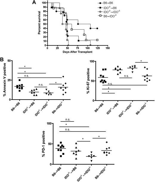 Figure 2. BM-derived host cells are more critical than epithelial cells in suppressing donor T cells via the IDO pathway. (A) WT or IDO−/− B6 mice were lethally irradiated and reconstituted with wt or IDO−/− B6 BM. After 3 months, the chimeras were reirradiated and infused with allogeneic BALB/c BM and 3 × 106 T cells. Survival is shown. For wt→wt (■) versus IDO−/−→IDO−/− (□) chimeras, P = .02. For wt→IDO−/− (▲) versus IDO−/−→IDO−/− chimeras, P = .04. For wt→wt versus IDO−/−→wt (△), P = .07. Representative of 2 experiments with n = 8-10 mice/group. (B) Chimeras were generated and transplanted as above. At 18 to 20 days later, T cells were isolated from colons and assessed by flow cytometry for Ki-67, annexin V, and PD-1. Data are pooled from 2 similar experiments with n = 3-5 mice/group. *P < .05.