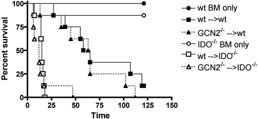 Figure 3. IDO-based GVHD suppression is GCN2 independent. Wt (filled symbols) or IDO−/− (open symbols) BALB/c mice were lethally irradiated and infused with B6 BM with or without (circles) 2 × 106 wt (squares) or GCN2−/− (triangles) T cells. Survival is shown. For wt versus IDO−/− given wt cells, P < .001; for wt versus IDO−/− given GCN2−/− T cells, P = .001; for wt versus GCN2−/− in wt recipients, P = .38; for wt versus GCN2−/− in IDO−/− recipients, P = .53. Data are representative of 4 independent experiments with n = 7-8 mice/group.