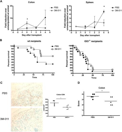 Figure 5. Ligation of TLR7/8 induces transient expression of IDO in the colon and reduces GVHD lethality. (A) B6 Mice were lethally irradiated and 5 hours later injected intravenous with PBS or 200 μg of 3M-011. On day 0, 48 hours later, some mice were killed and colons, and spleens were assessed for IDO mRNA. The remaining mice were infused with BALB/c BM and 3 × 106 T cells. On days 2 and 4 after BM transplantation, IDO mRNA was again assessed from colons and spleens. For colon IDO on D0, *P = .05; for spleen on D4, *P = .02. n = 4 mice/group, D0 colon data are representative of 2 identical experiments. (B) Wt (left) or IDO−/− (right) mice were pretreated with PBS (■) or 3M-011 (□) and transplanted 48 hours later as in panel A. Survival is shown. Data are pooled from 2 identical experiments, n = 7-8 mice/group. P = .03. (C) Mice were treated and transplanted as in panels A and B. At 37 days after transplantation, colons were harvested, sectioned, and stained by hematoxylin and eosin. Sections were scored for pathology. n = 5 mice/group. *P < .05. (D) Sections taken from day 37 tissues in panel C were stained for CD4 by IHC. Representative sections are on the left, quantification of CD4+ cells is shown on the right. n = 5 mice/group. *P = .01.