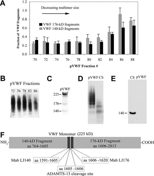 Figure 5. Quantification of VWF 176-kD and 140-kD fragments in plasma-derived pVWF. (A) VWF 140-kD fragments (gray) and 176-kD fragments (black) in size-fractionated pVWF were detected with Mab LJ140 and Mab LJ176 by immunoassay, and expressed as percentages of VWF fragments per total quantity of VWF antigen. Results are means ± SD. (B) VWF multimer immunoblot (1% agarose) showing multimer size ranges in pVWF fractions. (C) pVWF (multimer sizes similar to 82) was reduced and separated by SDS-5% PAGE. The immunoblot using polyclonal goat anti–VWF displays intact VWF monomer (225 kD) and faint bands for the 140-kD and 176-kD fragments. (D) Nonreduced samples separated by SDS-0.8% agarose demonstrate the larger plasma VWF multimers present in pVWF and the smaller multimers in CS. (E) Reduced samples of CS and pVWF were separated by SDS-5% PAGE and immunoblotted with Mab LJ140. The VWF 140-kD fragment was undetectable in pVWF samples that contained 1000-fold more VWF antigen (8 μg) than CS samples (8.4 ng). Immunoblots represent similar results obtained in 4 to 5 experiments. (F) Target epitopes of Mab LJ140 and Mab LJ176 that react specifically with either fragment 140-kD or 176-kD flanking the ADAMTS-13 cleavage site within the A2 domain of the VWF monomeric subunit. Cleavage of VWF at peptide bond M1605-Y1606 by ADAMTS-13 results in an increased proportion of 140-kD and 176-kD fragments relative to total VWF protein.