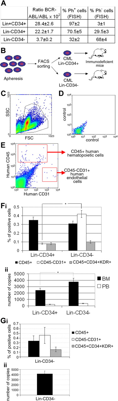 Figure 1. Molecular and karyotypic characterization and engraftment potential of Lin−CD34+ and Lin−CD34− CML cells. Characterization of CML Lin+CD34+, Lin−CD34+, and Lin−CD34− cell populations purified from the PB of chronic-phase patients at diagnosis. (A) FISH analysis and RQ-PCR for BCR-ABL transcript demonstrating higher numbers of residual normal progenitors in Lin−CD34− cell populations. The results are expressed as mean ± SD of 3 experiments. (B) Study design (number of experiments = 9 with a total of 37 and 22 NOD/SCID/β2M and NOD/SCID/IL-2Rγnull mice, respectively). (C-G) Flow cytometric and molecular evaluation of human cell engraftment in the marrow and blood of NOD/SCID/β2M (F) and NOD/SCID/IL-2Rγnull mice (G) engrafted with 100 000 human cells. Immunodeficient mice were evaluated up to 120 days after transplant. (C) The gate used to exclude platelets, debris, and dead cells in a representative case of xenotransplantation; (D) the negative control; (E) the gates used to identify hematopoietic (human CD45+) and endothelial (human CD45−/CD31+) cells. (Fi) The frequency of human hematopoietic and endothelial cell engraftment in NOD/SCID/β2M mice transplanted with CML Lin−CD34+ and Lin−CD34− cells. (Fii) The number of human VE-Cadherin RNA copies in the blood and marrow of transplanted mice. (Gi-Gii) Human hematopoietic and endothelial cell engraftment in NOD/SCID/IL-2Rγnull mice. RQ-PCR of BCR-ABL mRNA transcript was used to confirm the leukemic origin of engrafted cells in both mice strains. Our results showed a mean of 176 ± 87 BCR-ABL/β2 microglobulin copies in NOD/SCID/β2M mice (mean of 85 ± 32 β2 microglobulin copies) and a mean of 188 ± 62 copies in in NOD/SCID/IL-2Rγnull mice (85 ± 32 β2 microglobulin copies); *P < .05.