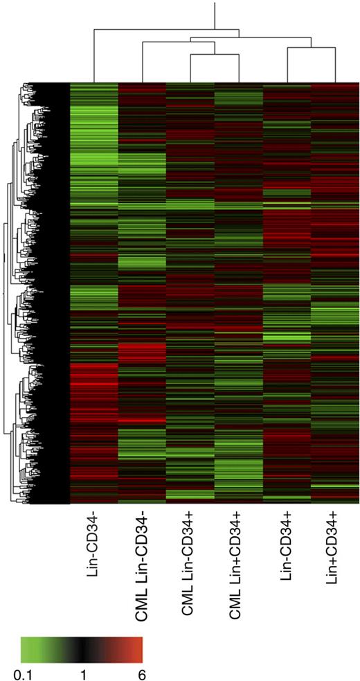 Figure 2. Unsupervised clustering analysis. Clustering has been performed using an unsupervised approach and applying the Pearson correlation equation provided by GeneSpring. A combination of 2 hierarchical clustering analyses (gene tree and condition tree) is shown. The gene tree is shown on left, the condition tree on top. Gene coloring was based on normalized signals as shown at the bottom of the figure.