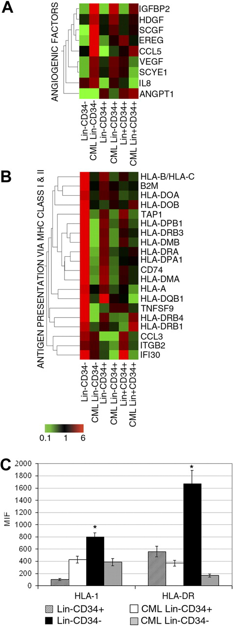Figure 4. Expression of genes involved in MHC class I and II and angiogenesis and flow cytometric analysis of MCH class I and II molecules. Eisen tree map computed using the GeneSpring gene tree and the Pearson correlation equation on the modulated probe sets belonging to the categories of angiogenesis (A) and antigen presentation and processing via MHC class I and II (B). The signal-based coloring legend is shown at the bottom of the figure. Freshly separated normal and CML Lin−CD34+ and Lin−CD34− cells were analyzed by flow cytometry for the expression of MHC class I and II molecules (C). The results are expressed as mean ± SD of 3 different experiments; *P < .05; MIF, mean intensity fluorescence.