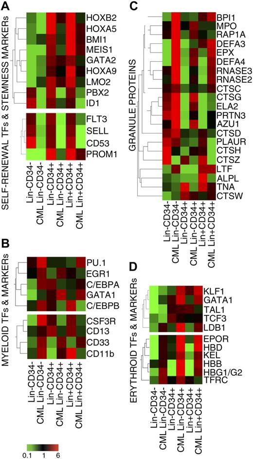 Figure 5. Expression of transcriptional regulators of stemness and myeloid commitment. Eisen tree map computed using the GeneSpring gene tree and the Pearson correlation equation on the modulated probe sets belonging to the category of TFs and markers involved in self-renewal and stemness (A), mono-granulocyte lineage commitment (B), neutrophil granule proteins (C), erythroid lineage commitment (D). The signal-based coloring legend is shown at the bottom of the figure.