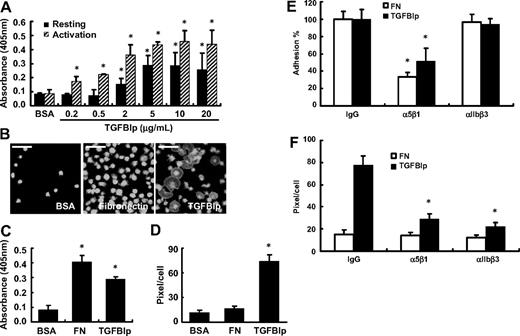 Figure 2. Adhesion and spreading of human platelets on immobilized TGFBIp. (A) Washed platelets were allowed to attach to immobilized TGFBIp for 1 hour with or without thrombin. Adhered platelets were detected by the acid phosphatase assay as described in “Platelet adhesion assay.” (B) Washed platelets were attached to BSA, fibronectin (FN), and TGFBIp (each 10 μg/mL) for 1 hour, and attached platelets were stained for anti-CD41 antibody and observed under a fluorescence microscope. The white bar represents 10 μm. The amounts of (C) platelet adhesion and (D) platelet spreading (pixels/cells) in the presence of TGFBIp, BSA, or fibrinogen were determined. Platelet adhesion was detected by the acid phosphatase assay, and spreading was detected by use of the MetaMorph program. (E) Integrin-dependent platelet adhesion on TGFBIp. After washed platelets were incubated with integrins α5β1 and αIIbβ3, or immunoglobulin G as a control (each 1 μg/mL) for 30 minutes, they were allowed to mix with immobilized TGFBIp (10 μg/mL) or fibronectin (FN; 10 μg/mL) for 1 hour. Platelet adhesion was detected by the acid phosphatase assay. (F) Integrin-dependent platelet spreading on TGFBIp. Platelet spreading (pixels/cell) on TGFBIp or fibronection (FN) was detected by use of the MetaMorph program. All results are shown as the means ± SD of 3 different experiments and ANOVA. *P < .05 compared with BSA or immunoglobulin G.