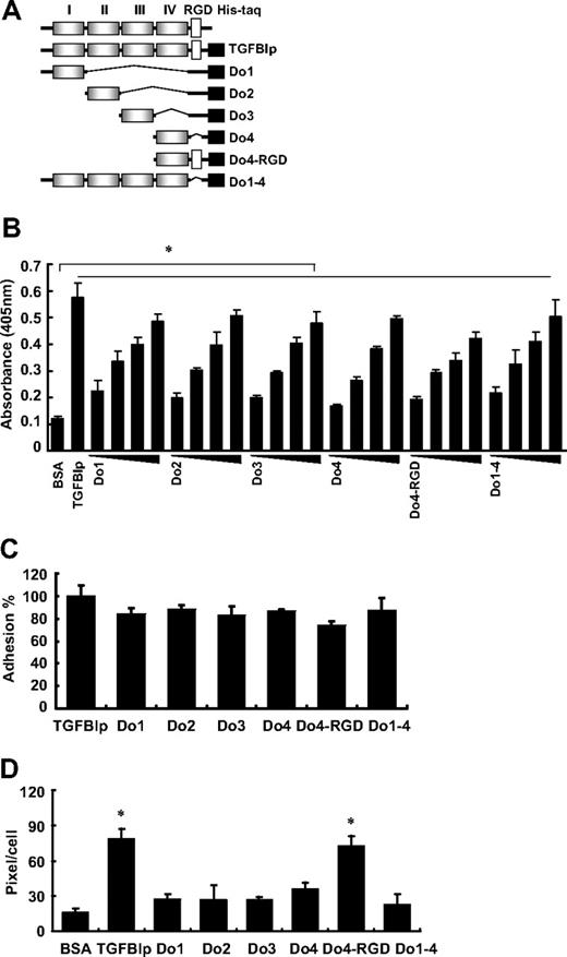 Figure 3. Adhesion and spreading of human platelets on the FAS1 domain of TGFBIp. (A) Schematic representation of TGFBIp, which consists of 4 homologous internal repeat domains called Fasciclin 1 (FAS1), and various deletion constructs of TGFBIp for each FAS1 and other modifications. (B) Dose-dependent adhesion of the immobilized FAS1 domain of TGFBIp is shown. Washed platelets were allowed to adhere to the indicated FAS1 domain and are presented as platelet adhesion to each immobilized FAS1 domain of TGFBIp (1, 2, 5, and 10 μg/mL). Washed platelet adhesion (C) and spreading (D) on TGFBIp and each of the indicated FAS1 domains were detected. Platelet adhesion was detected by the acid phosphatase assay, spreading was detected by the use of the MetaMorph program. Results are expressed as a percent of TGFBIp adhesion. All results are shown as the means ± SD of 3 different experiments and ANOVA. *P < .05 compared with BSA.