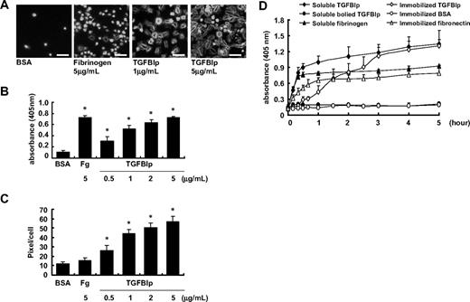Figure 4. Effect of soluble TGFBIp on platelet. A platelet suspension (100 μL containing 5 × 107 platelets) was added to a noncoated chamber slide with soluble-phase TGFBIp (1 μg/mL or 5 μg/mL) or fibrinogen (5 μg/mL). Platelets were allowed to adhere (15 minutes at 37°C), and wells were washed with Tyrode buffer. (A) Fixed platelets were stained for F-actin with FITC-conjugated phalloidin and were observed under a fluorescence microscope. The white bar represents 10 μm. Representative of platelet adhesion (B) and platelet spreading (pixels/cells) (C) in the presence of soluble-phase TGFBIp (0.5, 1, 2, and 5 μg/mL) or fibrinogen (Fg; 5 μg/mL). Platelet adhesion was detected by the acid phosphatase assay, spreading was detected using the MetaMorph program. (D) Time course adhesion of human washed platelets by soluble and immobilized TGFBIp. Platelet suspensions containing the indicated protein were dispensed in triplicate wells of microplates. After unbounded platelets were removed, adherent platelets were detected by the acid phosphatase assay as described in “Platelet adhesion assay.” All results are shown as the means ± SD of 3 different experiments and ANOVA. *P < .05 compared with BSA.