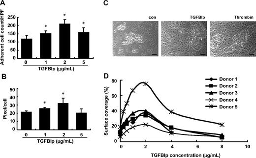 Figure 6. Thrombus formation in vitro by soluble-phase TGFBIp. Washed platelet perfusions (5 minutes at shear rate 500−1) over type I collagen were performed in the absence or presence of soluble TGFBIp (1, 2, and 5 μg/mL). Platelet adhesion (A) and platelet spreading (B) under flow conditions were determined. Aspirin-free donors were perfused over type I collagen in the presence or absence of soluble TGFBIp for 5 minutes, and platelet deposition (thrombus formation) was monitored in vitro. (C) Microscopic picture (×200 magnification) showing thrombus formation in the presence or absence of soluble TGFBIp. The scale bar represents 10 μm. (D) Representative histograms showing the size of thrombus formation at different concentrations (2-8 μg/mL) of TGFBIp. All results are shown as the means ± SD of 3 different experiments and ANOVA. *P < .05 compared with 0 μg/mL TGFBIp.