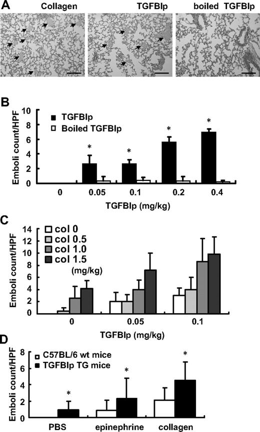 Figure 7. Increased peripheral blood TGFBIp promotes pulmonary embolism. C57BL/6 mice were given with either TGFBIp/epinephrine or a similar volume of boiled protein/epinephrine as a control via tail vein injection. (A) Hematoxylin and eosin staining of the lungs of mice (n = 3 per group) given collagen (2 mg/kg), TGFBIp (0.4 mg/kg), and boiled TGFBIp (0.4 mg/kg) is shown. Extensive pulmonary thromboemboli () are shown in collagen- and TGFBIp-injected mice compared with boiled TGFBIp-injected mice. Representative sections (×40 magnification) are shown. The scale bar represents 400 μm. (B) TGFBIp-induced pulmonary emboli occurred in a dose-dependent manner. (C) Representative of the suboptimal doses of both TGFBIp- and collagen-induced pulmonary embolism. (D) Pulmonary embolism formation in Alb-hTGFBIp transgenic mice. Mice were intravenously injected with 0.5 mg/kg collagen and 100 μg/kg epinephrine, and the formation of pulmonary emboli was subsequently determined. The pulmonary embolism count was detected in at least 5 different fields. All results are shown as the means ± SD of 3 different experiments and ANOVA. * P < .05 compared with 0 mg/kg of the TGFBIp-injected group.