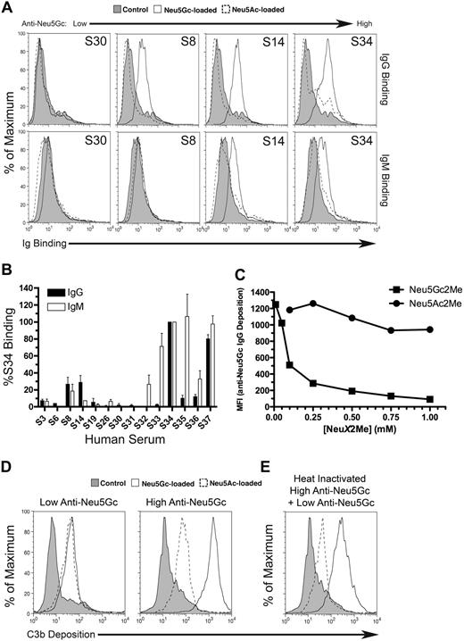 Figure 3. Human serum antibodies react against Neu5Gc-loaded endothelium. Human sera (S#), diluted 1:5, were assayed for their ability to bind HUVECs in a Neu5Gc-dependent manner. (A) Binding of human serum IgG (top) or IgM (bottom) to loaded HUVECs was assayed by flow cytometry. Neu5Gc-loaded cells (solid line), Neu5Ac-loaded cells (dotted line), and Neu5Gc-loaded cells stained with secondary antibody only (shaded curve). Representative individual human sera are shown. (B) IgG and IgM binding were normalized as a percentage value of the signal obtained with S34. The data are presented as mean ± SEM (n = 3). (C) Binding of anti-Neu5Gc IgG antibodies from S37 to Neu5Gc-loaded HUVEC was inhibited with the alpha-methyl glycoside, Neu5Gc2Me, in a dose-dependent manner and not by Neu5Ac2Me. (D) Classical complement, C3 convertase (C3b), was deposited onto Neu5Gc-loaded HUVEC (solid lines) only when incubated with high-titer anti-Neu5Gc serum (S34, right) and not low-titer anti-Neu5Gc serum (S30, left). Nonspecific complement was deposited onto Neu5Ac-loaded HUVEC (dotted lines) in a variable manner dependent on which sera was used, presumably attributable to unrelated serum factors. As a negative control, heat-inactivated serum was incubated with Neu5Gc-loaded HUVECs as a negative control (shaded curve). (E) Heat-inactivated S34 alone did not deposit complement in Neu5Gc-loaded HUVECs (shaded curve). Supplementation of S30 with heat-inactivated S34 shows Neu5Gc-dependent complement deposition in Neu5Gc-loaded (solid line) and not Neu5Ac-loaded HUVECs (dashed line). This finding indicates that anti-Neu5Gc antibodies are necessary and sufficient to mediate Neu5Gc-dependent complement deposition. All results presented in this figure were performed at least 3 times.