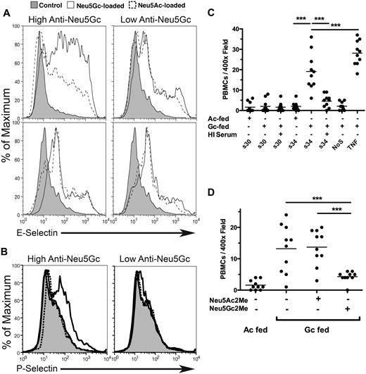 Figure 4. Human serum enhances adhesion molecule expression and PBMC binding on Neu5Gc-loaded endothelium. (A) A representative example of surface E-selectin expression determined on Neu5Ac and Neu5Gc-loaded HUVECs after 5 hours of activation by low-titer serum (S30, right) or high-titer serum (S34) or heat-inactivated forms thereof (bottom). Control peaks (shaded curve) represent E-selectin expression on endothelial cells not activated by serum. (B) As described in panel A, except HUVECs were exposed to serum for 15 minutes only. Heat-inactivated serum controls are included as a negative control (shaded curve). Short serum incubations show a Neu5Gc-dependent expression of P-selectin that requires anti-Neu5Gc antibodies and is sensitive to heat inactivation of serum. This response was most evident in low passage HUVECs (passage # ≤ 3), consistent with the observed (data not shown) and reported passage-dependent loss of P-selectin expression in vitro.46 (C) HUVECs were cultured on 12-mm glass coverslips (Fisher) in 24-well plates and loaded with either Neu5Ac or Neu5Gc as described previously. Loaded cells were incubated with 50% human sera in EBM-2 for 4 hours at 37°C or with heat-inactivated serum as a control. A negative control was not exposed to human serum (NoS) and a positive control was exposed to TNF-α (10 ng/mL) for stimulation. At 4 hours, 105 PBMCs were added to each well and incubated at 37°C on an orbital shaker at 100 revolutions/minute for 1 hour. Cells were washed thrice in PBS and fixed in PBS containing 3% paraformadehyde. Bound PBMCs were counted in 10 randomly chosen fields at ×400 magnification. Data were averaged and expressed as cells/field. Data are presented as mean with the scatter. This panel is a representative example of 5 similar replicates. ***P < .001. (D) Same as panel C except that the α-methyl-glycosides (1mM) were incubated with the S34 before HUVEC stimulation. All groups were Neu5Gc loaded. We observed inhibition of PBMC binding in S34-stimulated HUVECs with Neu5Gc2Me but not Neu5Ac2Me. ***P < .001. Examples of fluorescent images from the experiment in panel D are shown in supplemental Figure 1. All results presented were performed at least 3 times.