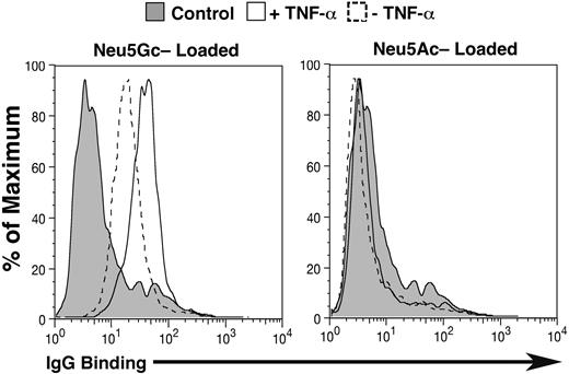 Figure 6. TNF-α augments human antibody reactivity against Neu5Gc-loaded endothelium. Endothelial cells were treated with TNF-α (10 ng/mL) during the last 18 hours of Neu5Gc loading. Antibody binding was assessed for both treated and nontreated cells after incubating with high-titer human serum (S34). Control peaks represent staining with FITC-conjugated secondary antibody alone. The experiment was performed multiple times and representative examples are shown. Several other cytokines studied (IL-1β, IL-4, IL-6, IL-13, and IFNγ) did not show this enhancing effect (not shown).