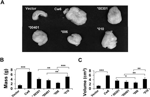 Figure 3. Functional differences among KIR2DL1 alleles observed in vitro are confirmed in vivo. YT-Indy cells expressing different alleles of KIR2DL1 were mixed with 721.221-Cw6 at a 10:1 (E/T) ratio and injected subcutaneously into NOD-scid IL2Rγnull mice. A total of 30 mice, 5 mice for each group, were given injections. After the tumors reached 20% of body mass in the positive control group (mice injected with only target cells), the mice were humanely killed, dissected, and photographed. The image of a representative tumor from each group is shown. (A) Vector, *00301, *00401, *006, and *010 are tumors from mice given injections of YT-Indy transfected with empty vector, KIR2DL1*00301, KIR2DL1*00401, KIR2DL1*006, or KIR2DL1*010, together with 721.221 expressing HLA-Cw6. Cw6 was a tumor from a mouse given only 721.221 expressing HLA-Cw6. Tumor mass (B) and tumor volume (C) were also measured. The experiment was repeated 3 times. *P = .08, **P < .05, ***P < .01. Error bars represent SD.