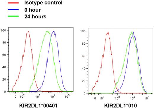 Figure 6. Transmembrane arginine prevents down-regulation of cell-surface expression of KIR2DL1 after interaction with its ligand. YT-Indy cells expressing KIR2DL1 alleles *00401 and *010 were coincubated with target 721.221-Cw6 cells for the indicated times. Cell-surface expression of KIR2DL1 was detected using KIR2DL1 mAb. Left panel shows cell-surface expression of KIR2DL1*00401, and right panel shows KIR2DL1*010. Data shown are representative of 3 independent experiments.