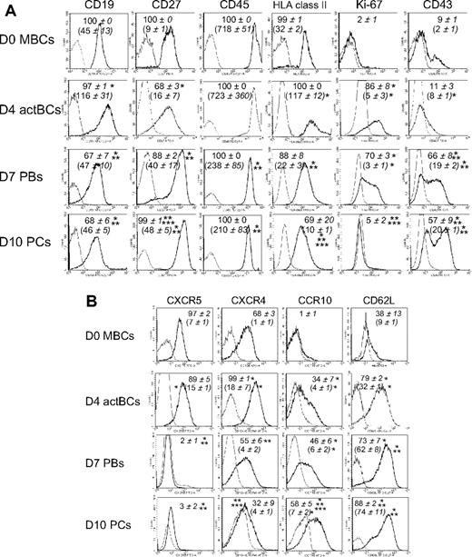 Figure 4. Phenotype and expression of homing molecules of B cells and PCs generated in the 3-step culture system. MBCs were cultured as described in Figure 1. Cells were stained for CD20, CD38, and CD138. The cell phenotype was analyzed by gating on CD20+CD38− lymphocytes, CD20−CD38++CD138− D7 PBs, and CD20−CD38++CD138+ D10 PCs. (A) Black histograms represent FACS labeling with anti-CD19, CD27, CD45, HLA class II, Ki-67 (after cell permeabilization), and CD43. Gray histograms represent the corresponding negative control mAbs. Data from 1 experiment representative of 3 are shown. Numbers in panels indicate mean values ± SD of the percentage of positive cells of 3 separate experiments, and numbers in brackets indicate the mean staining indexes ± SD. (B) Black histograms represent FACS labeling with anti-CXCR5, CXCR4, CCR10, and CD62L mAbs. Gray histograms represent the corresponding negative control mAbs. Data from 1 experiment representative of 3 are shown. Numbers in panels indicate mean values ± SD of the percentage of positive cells, and numbers in brackets the mean staining indexes ± SD of 3 separate experiments. *Value is different from that in D0 MBCs using a paired t test. **Value is different from that in D4 actBCs. ***Value is different from that in D7 PBs.