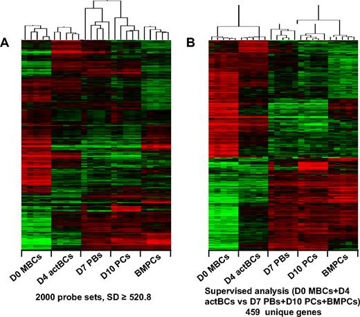 Figure 5. Gene expression profiles of B cells and PCs generated in the 3-step culture system, of MBCs and BMPCs. The gene expression profile of purified B cells or PC populations (5 separate samples for each population) was determined with Affymetrix U133 Plus 2.0 microarrays. (A) An unsupervised hierarchical clustering was run with the 2000 probe sets with the highest SD (log transform, center genes and arrays, uncentered correlation, and average linkage). The dendrogram shows that all samples of a given population (D0 MBCs, D4 actBCs, D7 PBs, D10 PCs, and BMPCs) strongly cluster together (r ≥ 0.5) and that D7 PBs and D10 PCs are correlated together unlike other populations. (B) The probe sets differentially expressed between D0 MBCs + D4 actBCs and D7 PBS + D10 PCS + BMPCs were determined with a SAM-supervised analysis (Wilcoxon statistic, 2-fold ratio, 0% false discovery rate), identifying 459 unique genes with Ingenuity software. When a gene was assayed by several probe sets, the probe set with the highest variance was used. An unsupervised hierarchical clustering was run on this 459 unique gene list. The normalized expression value for each gene is indicated by a color: red represents high expression; green, low expression.