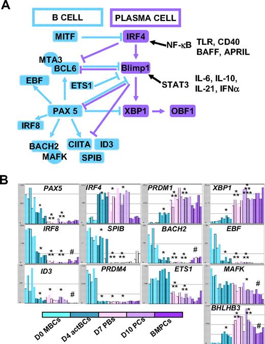 Figure 6. Visualization of gene expression of TFs using Amazonia “B cell to PC Atlas.” The gene expression of the 54 613 Affymetrix probe sets in MBCs, D4 actBCs, D7 PBs, D10 PCs, and BMPCs can be visualized using the Amazonia web site (http://amazonia.transcriptome.eu/). The known interactions of these TFs are displayed in panel A. Data are the expression of genes coding for TFs controlling B-cell and PC fate (B). *The mean expression is different from that in D0 MBCs. **The mean expression is different from that in D4 actBCs. ***The mean expression is different from that in D7 PBs. #The mean expression is different between D10 PCs and BMPCs.