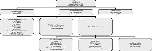 Figure 1. Patient flow diagram.