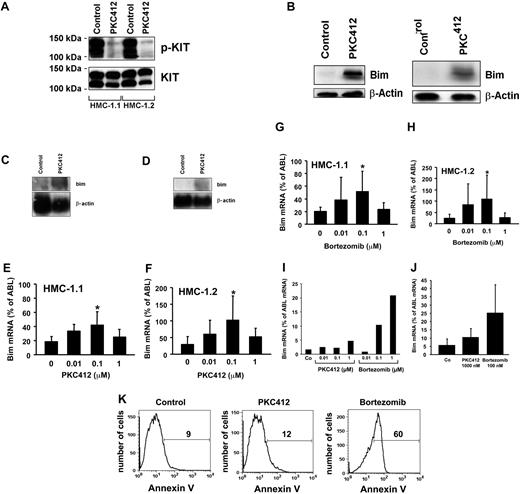 Figure 3. Effects of PKC412 and bortezomib on expression of Bim in HMC-1 cells. (A) Immunoprecipitation (IP) and Western blot (WB) were performed with HMC-1 cells exposed to PKC412 (midostaurin, 1μM) or control medium (control) at 37°C for 4 hours. IP and WB were performed as described in “Methods.” For detection of phospho-KIT (p-KIT), anti–phospho-tyr monoclonal antibody 4G10 (1:1000) was applied. As visible, midostaurin suppressed the expression of p-KIT in HMC-1.1 and HMC-1.2 cells (top panels) without affecting total KIT expression (bottom panels). (B) WB analysis of HMC-1.1 cells (left panel) and HMC-1.2 cells (right panel) exposed to control medium (control) or PKC412 (1μM) for 12 hours. WB was performed using a polyclonal anti-Bim antibody. The β-actin loading control is also shown. (C-D) Northern blot analysis of HMC-1.1 cells (C) and HMC-1.2 cells (D) exposed to control medium (control) or PKC412 (1μM) for 12 hours. Northern blotting was performed using a Bim-specific cDNA probe. Equal loading was confirmed by probing for β-actin mRNA. (E-H) Real-time PCR analysis of Bim mRNA expression in HMC-1.1 cells (E,G) and HMC-1.2 cells (F,H) exposed to control medium (0) or various concentrations of PKC412 or bortezomib as indicated for 24 hours. Bim mRNA levels are expressed as percentage of ABL mRNA and represent the mean ± SD of 8 independent experiments performed with PKC412, and mean ± SD of 7 independent experiments performed with bortezomib. *P < .05. (I-J) Cultured cord blood–derived MCs were incubated in control medium (Co) or various concentrations of PKC412 or bortezomib (as indicated) for 24 hours. Thereafter, Bim mRNA levels were determined by real-time PCR and are expressed as percentage of ABL mRNA expression. In panel J, mean ± SD values from 3 independent experiments are shown. (K) Cultured cord blood–derived MCs were incubated in control medium (left panel), PKC412 (1μM, middle), or bortezomib (1μM, right panel) for 48 hours. Thereafter, cells were examined for apoptosis by annexin V staining and flow cytometry. The percentage of apoptotic cells is also shown (control: 9%, PKC412: 12%, bortezomib: 60%).