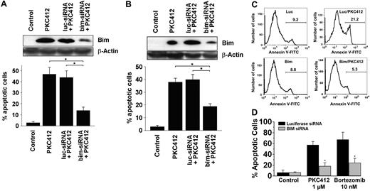 Figure 7. Effects of PKC412 on neoplastic human MCs transfected with a Bim-specific siRNA. (A-B) Top panel: Western blot analysis of expression of Bim in HMC-1.1 cells (A) and HMC-1.2 cells (B) cultured in control medium (control) or PKC412 (1μM) for 24 hours. PKC412 was applied on nontransfected cells, on HMC-1 cells transfected with a control siRNA against luciferase (luc-siRNA), and on HMC-1 cells transfected with a Bim-specific siRNA (bim-siRNA). Western blotting was performed using an antibody against Bim and an antibody against β-actin. (A-B) Bottom panel: Evaluation of effects of PKC412 (1μM, 24 hours) on apoptosis in HMC-1.1 cells (A) and HMC-1.2 cells (B). Results show percentages of apoptotic cells and are expressed as mean ± SD of 3 independent experiments (*P < .05). (C) Annexin V stain of HMC-1 cells after transfection with a control siRNA against Luciferase (Luc; top panels) or a Bim-specific siRNA (bottom panels) and exposure to control medium (left panels) or PKC412 (1μM; right panels) for 24 hours. The percentage of apoptotic cells is also shown. (D) HMC-1.2 cells were transfected with 200nM control siRNA (Luciferase siRNA) or with 200nM siRNA directed against Bim as described in “Methods.” Thereafter, cells were split and kept in control medium or in the presence of PKC412 (1μM) or bortezomib (10nM) for 24 hours. After incubation, cells were spun on cytospin slides and stained by Wright-Giemsa. The percentage of apoptotic cells was determined by light microscopy. Results represent the mean ± SD of 3 independent experiments. *P < .05 compared with Luciferase siRNA.