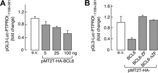 Figure 2. PTPROt transcription is regulated by BCL6. (A) BCL6 represses PTPROt promoter-driven transcription in a dose-dependent manner; 350 ng of PTPROt promoter luciferase reporter construct (pGL3-Luc-PTPROt −1108 + 381) was cotransfected with empty vector or increasing doses (5-100 ng) of a BCL6 expression vector (pMT2T-HA-BCL6) into HEK293T cells. Luciferase activities were evaluated as described (see “Luciferase assays”). (B) WT-BCL6 but not BCL6 mutants repress PTPROt promoter-driven transcription. pGL3-Luc-PTPROt-1103 + 381 was cotransfected with 100 ng of vectors encoding either HA-BCL6 or 1 of 2 BCL6 mutants lacking either the amino-terminal transcriptional repressor domain (BCL6-ZF) or the carboxy-terminal DNA binding zinc-finger domain (BCL6-ΔZF) and luciferase activities were determined thereafter. In both panels A and B, representative luciferase activities from 3 independent experiments were normalized to Renilla luciferase activity and represented as fold change ± SD.