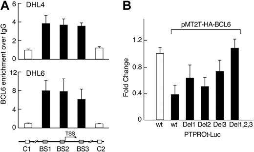 Figure 3. BCL6 represses PTPROt via direct interactions with the PTPROt promoter region. (A) BCL6 binds to the PTPROt promoter in vivo. Chromatin immunoprecipitation was performed in 2 DLBCL cell lines (DHL4 and DHL6) using BCL6 antibody or normal IgG as control. The target amplicons in the PTPROt promoter include the 3 predicted BCL6 binding sites (BS1-3, ■) and 2 distant upstream or downstream control regions (C1 and C2, □). The BCL6 versus IgG ratio was calculated for each region and normalized to control region 1. (B) BCL6-mediated repression of PTPROt promoter requires intact BCL6 binding sites. PTPROt-promoter-driven luciferase constructs with or without the individual or combined mutations in the predicted BCL6 binding sites were cotransfected with pMT2T-HA-BCL6 into HEK293T cells. Luciferase activities were determined thereafter.