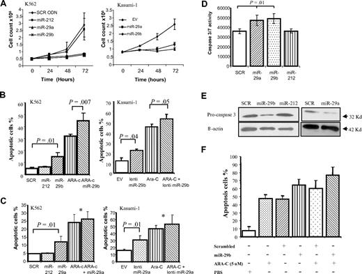Figure 1. MiR-29b reduces cell growth and induces apoptosis in cell lines and primary samples. (A) Cell growth curves of K562 cells (left panel) or Kasumi-1 cells (right panel) transfected or infected in vitro with miR-29a, -29b, and their respective controls (miR-212, scrambled oligonucleotides, or empty vector). (B) Annexin V/PI assays in K562 (left panel) and Kasumi-1 (right panel) cells after 48 hours of transfection with synthetic miR-29b/lentivirus miR-29b or controls (scrambled oligonucleotides, miR-212, or empty vector) in the presence or absence of 5μM of Ara-C. The results are shown as percentage of apoptotic cells. Data are the average of 3 independent experiments ± SD. P values were obtained using t test. *P > .05. (C) Annexin V/PI assays in K562 (left panel) and Kasumi-1 (right panel) cells after 48 hours of transfection with synthetic miR-29a/lentivirus miR-29a or controls (scrambled oligonucleotides, miR-212, or empty vector) in the presence or absence of 5μM of Ara-C. (D) The regulation of apoptosis by miR-29a and -29b was confirmed by measuring caspase 3 or caspase 7 activities. K562 cells were transfected with synthetic miR-29a and -29b or scrambled oligonucleotides and grown in 96-well microplates. After 48 hours, luminescence was measured using the caspase 3 or caspase 7 Glo Assay (Promega). P values were obtained using t test. Values are mean ± SD; n = 3. (E) Pro-caspase 3 protein expression level was measured in K562 by immunoblotting after 48 hours of transfection with synthetic miR-29a and -29b or scrambled oligonucleotides. Loading control was performed using β-actin. (F) Annexin V/PI assays in 2 primary AML samples after 48 hours of transfection with synthetic miR-29b or control (scrambled oligonucleotides) in the presence or absence of 5μM of Ara-C. The results are shown as percentage of apoptotic cells. Bars represent range.