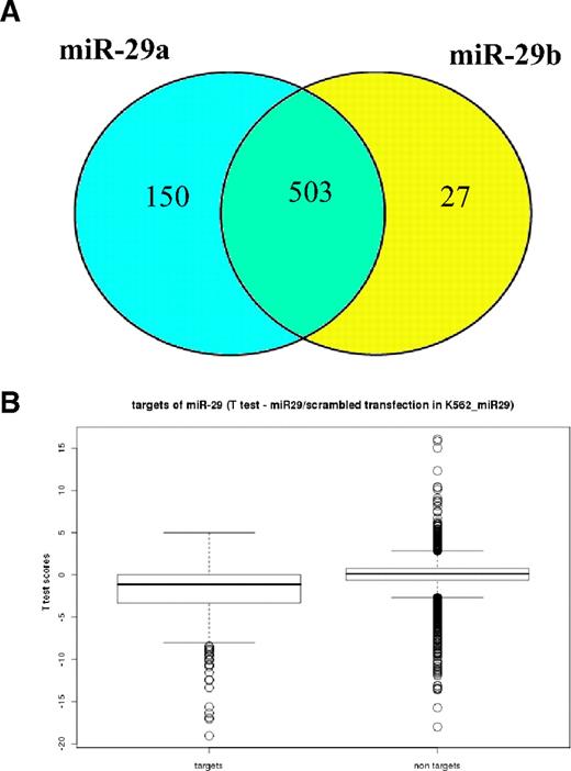 Figure 3. MiR29a and -29b targets are specifically and significantly down-regulated after miR-29s transfections. (A) Venn diagram showing common probes between miR-29a and -29b Affymetrix signatures. Microarray mRNA profiling (Affymetrix) was performed using RNA obtained from K562 cells transfected with either synthetic miR-29a (n = 2) or miR-29b (n = 4) and scrambled oligonucleotides (n = 4). Class comparison analysis (miR-29b vs scrambled and miR-29a vs scrambled) were performed using P less than .001. The number in the intersection of the Venn diagram represents the number of probes that are shared between miR-29a and -b signatures, whereas the numbers in the left and right circle are the probes that are only differentially expressed in miR-29a and -b, respectively. (B) The box plots display the median and SD of t test score distributions in the 2 groups of Affymetrix experiments: targets of miR-29 or all other nontargets genes. The open circles represent the genes with t test score higher than 95th percentile in each individual distribution. The t test scores are positive for genes up-regulated by miR-29 transfections, whereas negative scores belong to down-regulated genes.