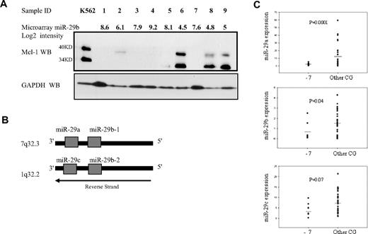 Figure 6. MiR-29 and Mcl-1 protein expression in primary AML samples with monosomy 7. (A) This panel shows the correlation between miR-29b expression by microarrays and Mcl-1 expression by Western blotting. (Top) The microarray normalized expression of miR-29b (log2 values) for 9 patients with AML (samples 1-9). Samples 6, 8, and 9 are primary AML blasts with −7 in the context of complex karyotype (> 3 cytogenetic abnormalities), whereas the others have the following karyotypes: complex karyotype (samples 1 and 4), t(9;11) (sample 2), normal karyotype (FLT-3-ITD+, NPM1 wt) (sample 3), isolated −5 (sample 5), and normal karyotype (FLT3-ITD-, NPM1 wt) (sample 7). The miR-29a microarray (log2) value for the same 1 to 9 patient samples is as follows: 8.23, 7.76. 7.36, 7.67, 8.31, 6.5, 8.1, 6.7, and 5.7. Immediately below there is the Mcl-1 protein expression by Western blotting. K562 total cell extracts were used as positive controls for Mcl-1 expression. This cell line has undetectable miR-29b expression level. GAPDH was used as a loading control for the Western blotting. (B) Chromosomal structure of the miR-29 gene family. The diagram illustrates the position and orientation of miR-29b-1 and miR-29a cluster located on human chromosome 7, and miR-29b-2 and miR-29c cluster on human chromosome 1. Note that both clusters are located in the antisense strand. (C) MiR-29a, -29b, or -29c expression by quantitative RT-PCR in 43 primary AML samples with monosomy 7 (−7) or other cytogenetic abnormalities (Other CG). The results are shown as miRNA expression after normalization with 18s and 2ΔCt calculations. Bars represent the mean.