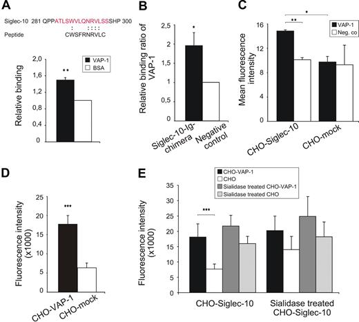 Figure 1. Siglec-10 interacts with VAP-1. (A) The amino acid sequence obtained from randomly picked clones after 4 rounds of selection and its match to Siglec-10 and the binding of the corresponding synthetic peptide to recombinant VAP-1 (100 ng/well) in ELISA. The results are mean ± SEM from 3 separate experiments and triplicate wells in each experiment. (B) Binding of recombinant VAP-1 to Siglec-10–Ig chimera. Siglec-10–Ig chimera was immobilized onto ELISA microtiter wells via an anti-hIgG antibody. hIg was used as a negative control. The results are presented as relative binding ratios and are mean ± SEM from 3 separate experiments, each having triplicate wells. (C) Binding of recombinant VAP-1 to CHO cells expressing Siglec-10 and to mock-transfected control cells as detected by anti–VAP-1 antibody. Negative controls are incubations with antibodies without the addition of recombinant VAP-1. The results are mean ± SEM of mean fluorescence intensities measured by flow cytometer from 2 separate experiments. (D) Binding of CFSE-labeled Siglec-10 transfectants to CHO cells expressing VAP-1 and mock controls. The results are mean ± SEM of fluorescent intensities measured by fluorometer from 7 separate experiments, each having duplicate wells. (E) The contribution of sialic acids to the interaction was tested by treating either the cells expressing VAP-1 and or the cells expressing Siglec-10 with neuraminidase to remove the sialic acids. The results are means of fluorescent intensities ± SEM from 4 separate experiments, each having duplicate wells. *P < .05. **P < .01. ***P < .001.