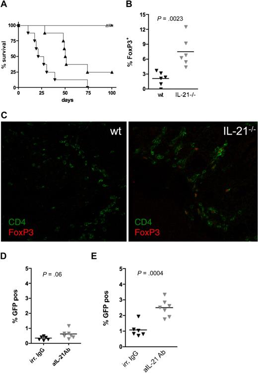 Figure 5. Effects of IL-21 on FoxP3+ T-cell generation. Lethally irradiated B10.BR recipients were injected with 107 T cell–depleted bone marrow and (106 CD4+ (▴, ▵) or CD4+25− (▾, ▿) T cells from wt (▴,▾) or IL-21−/− (▵, ▿) mice and monitored for survival (A; P = .001 for wt vs IL-21−/− groups). Lethally irradiated recipients were injected with 2 × 106 wt of IL-21−/− CD25− T cells and lamina propria (LP) cells were isolated from the colon on day 14, stained with anti-CD4 and anti-FoxP3, and analyzed by FACS. The frequency of FoxP3-expressing CD4+ cells was determined (B; P = .002). Subgroups of mice described in panel A were killed on day 30 and sections from frozen tissue blocks were analyzed for expression of CD4 (green) and FoxP3 (red) by confocal microscopy (C). Lethally irradiated recipients were injected with 2 × 106 FoxP3− T cells from FoxP3-GFP knock-in mice. Subgroups were treated with irrelevant IgG or anti–IL-21 Ab. The frequency of FoxP3-expressing CD4+ spleen cells (D; P = .06) or CD4+LP T cells (E; P = .004) was determined. Data were obtained from 1 experiment each with 8 (A), 6 (B), 4 (C), and 6 (D-E) mice per group.