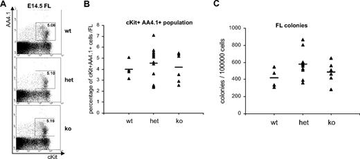 Figure 6. Fetal liver hematopoiesis in distal Runx1-deficient embryos. (A) FACS analysis of AA4.1 and c-Kit expression in E14.5 fetal livers (FL) isolated from distal+/+ (wt), distal+/− (het), and distal−/− (ko) embryos. (B) Percentage of c-Kit+AA4.1+ population in wt (n = 4), het (n = 12), and ko (n = 6) fetal livers. Bars indicate average number for each group. (C) Number of hematopoietic colonies generated in methylcellulose from wt (n = 4), het (n = 12), and ko (n = 6) fetal livers. Bars indicate average number for each group.