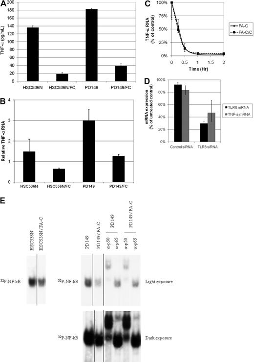 Figure 2. TNF-α gene expression is elevated in FA-C lymphoblasts. (A) Mutant FA-C lymphoblasts (HSC536N and PD149) produce more TNF-α than isogenic complemented FA-C/C cells. Secreted TNF-α was measured in culture media by the use of ELISA assays. Shown are results from 1 of 3 independent experiments. All error bars in this figure represent mean (± SD). (B) TNF-α RNA is elevated in FA-C lymphoblasts. TNF-α mRNA is increased in FA-C cells. TNF-α mRNA was analyzed by real-time RT-PCR. Results shown are from 1 of 3 identical experiments. (C) TNF-α mRNA decay rates are equivalent in mutant and complemented cells. To rule out differential TNF-α mRNA decay as an explanation for the increase in mutant cells, mRNA stability was measured by real-time RT-PCR after treatment of FA-C lymphoblasts (HSC536) with the transcription inhibitor actinomycin-D. The mRNA decay rates were identical, demonstrating that the differences in mRNA levels between FA-C and FA-C/C cells are attributable to differences in mRNA production rather than differences in mRNA stability. (D) TLR8 siRNA decreases TLR8 and TNF-α mRNA in FA-C cells. By using real-time RT-PCR for both TLR8 and TNF-α mRNA, we found that both were reduced in FA-C cells treated with siRNA targeting TLR8, demonstrating that TNF-α production in these cells is TLR8-dependent. (E) Ground-state activation of NF-κB was demonstrated by use of the electromobility shift assay in 2 different FA-C lymphoblastoid cell lines in the 2 lanes to the far left, HSC536N and HSC536N/FANCC (complemented with FANCC cDNA) and in the 6 lanes on the right, PD149 and PD149/FANCC. The top right panel is a short exposure of the same gel exposed longer shown in the bottom right panel. NF-κB signal is reduced in the both complemented cells. Supershift experiments were performed by the use of nuclear lysates of PD149 and PD149/FANCC cells and revealed that both p50 and p65 (best seen on the longer exposure) were contained within the NF-κB band. Shown are results of 1 representative of 4 identical experiments. Autoradiographs of both full gels are shown in supplemental Figure 7. This figure also shows that in mutant FA-C lymphoblasts, NF-κB activation is high in the ground state and does not require exposure to interferon-γ or TNF-α. Again, this is distinctly different from primary mononuclear phagocytes and the THP-1 shFANCC cells, which require exposure to a TLR-agonist to reveal overexpression of TNF-α.