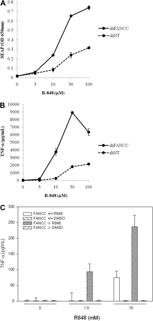 Figure 3. FANCC suppresses TNF production and NF-κB activation induced by TLR8 ligands. Results in THP-1 cells are from 1 of 4 identical experiments. THP-1 Blue cells transduced with control (not targeted) shRNA or with shRNA targeting FANCC were incubated 24 hours with various concentrations of R-848. Expression of the NF-κB reporter was quantified colorimetrically (A), and TNF-α production was quantified by the use of ELISA (B). Dose-response curves shown are representative of 4 (A) and 2 (B) assays. SEAP and TNF-α responses of untransduced cells matched precisely those of cells transduced with the control shRNA (not shown). The specific lentiviral shRNA targeting FANCC (shFANCC) was selected based upon its capacity to induce MMC hypersensitivity and suppress monoubiqutinylation of FANCD2 in THP1 Blue cells (data are shown in supplemental Figure 5). (C) TNF-α release from primary murine splenic cd11b+ macrophages exposed for 24 hours to multiple doses of R848 showed a 4-fold increase in TNF-α released in cultures of Fancc−/− macrophages. Macrophage-depleted mononuclear cells produced no detectable TNF-α either before or after exposure to R848. Error bars represent mean (± SD).