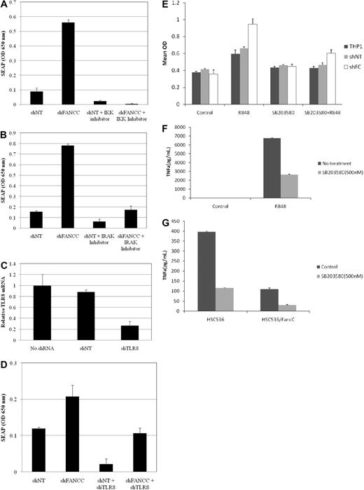 Figure 4. Inhibition of the TLR8 pathway suppresses R848 activation of NF-κB in FANCC-deficient cells. THP-1 Blue cells expressing either control (nontargeted shRNA) or FANCC shRNA (target and shRNA sequences are shown in supplemental Table 4) were pretreated for 2 hours with 25μM IKK inhibitor (A) or 25μM IRAK-1/4 inhibitor (B) and then incubated for 24 hours with 30μM R-848. Both inhibitors reduced NF-κB activation in THP-1 Blue cells exposed to R-848. (C) Stable expression of TLR8 shRNA (target and shRNA sequences are shown in supplemental Table 4) in THP-1 Blue cells reduced TLR8 mRNA levels by 73%. Nontargeted shRNA had no effect on TNF-α mRNA. (D) Stable coexpression of TLR8 shRNA with either control (nontarget) or FANCC shRNAs lowered R-848–induced NF-κB activation. Specificity of TLR8 shRNA was confirmed by in experiments that showed that this shRNA did not suppress LPS-induced NF-κB activity (not shown). Error bars represent mean (± SD). (E) NF-κB activation (assessed by quantification of SEAP, y-axis) was quantified in the ground state and in cells treated with R848 in the presence and absence of SB203580, a p38 MAPK inhibitor. The inhibitor suppressed the R848 response in both control and shFANCC cells. (F) TNF-α production was likewise suppressed by SB203580 in THP1 Blue shFANCC cells treated with R848. Control cells not treated with R848 did not produce TNF-α. (G) Likewise, high-level endogenous TNF-α production in FANCC-deficient HSC536 lymphoblasts (control) was also suppressed by SB203580. HSC536/FANCC cells are isogenic FA-C lymphoblasts expressing wild-type FANCC cDNA.