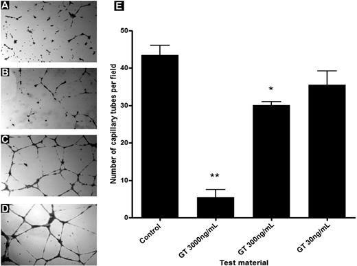 Figure 3. Dose-dependent inhibition of HUVEC capillary tube formation by gliotoxin. Gliotoxin inhibited angiogenesis in vitro at concentrations similar to those found in the lungs during invasive pulmonary aspergillosis. Specifically, angiogenesis was inhibited by gliotoxin at (A) 3000 ng/mL, and to a lesser extent (B) 300 ng/mL. Gliotoxin at a concentration of 30 ng/mL had no effect on angiogenesis (C,E). (D) Angiogenesis in a control well. **P < .001; *P < .05. P values refer to the comparison with control wells.