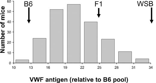 Figure 2. Histogram of N2 generation VWF plasma levels. Individual N2 mice were bled, and the results were averaged and normalized to an adult B6 plasma pool that was arbitrarily assigned a value of 10. The VWF antigen levels were binned and plotted as indicated on the x-axis. The locations of the parental strain and (B6 × WSB) F1 hybrid values are indicated by. These are 13.1, 24.8, and 35.3, for B6, F1, and WSB, respectively.
