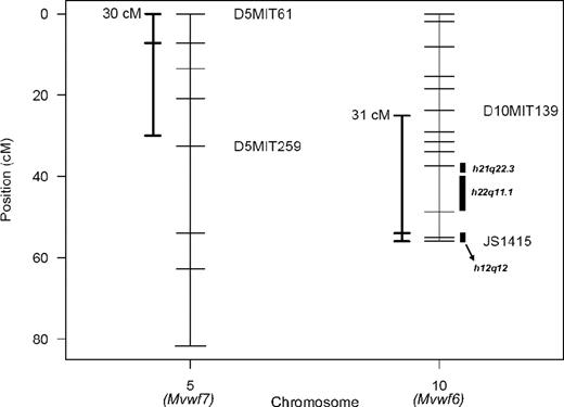 Figure 6. Mvwf QTL 96.5% Bayes credible intervals. Chromosomes are represented as vertical bars, and ticks represent markers used in mapping. To the left of each chromosome is the 96.5% Bayes credible interval constructed as described.25 To the right of chromosome 10 are the regions with human homology of synteny to significant regions identified in human studies 22q11.1,35 21q22.3, and 12q12.36 JS1415 is a marker derived from a B6/WSB T/G SNP downstream from the Vwf gene (128.3 Mbp) that produces an MspI restriction fragment polymorphism.