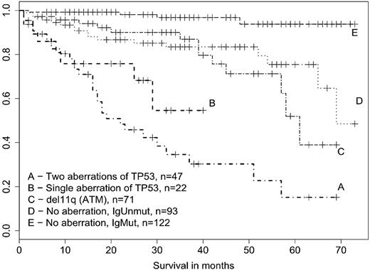 Figure 2. Survival of CLL patients structured according to the TP53 defects, ATM deletion, and mutation status of IgVH. Survival was analyzed from time of TP53/ATM investigation. An effect of the abnormalities on survival was assessed in comparison with p53-wt/ATM-wt subgroup harboring the unmutated IgVH (curve D). Biallelic TP53 changes showed strong effect (P < .001), monoallelic TP53 abnormalities intermediate effect (P = .021), and ATM deletion no impact at all (P = .55).