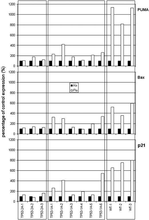 Figure 4. Induction of p53-downstream target genes PUMA, BAX, and CDKN1A (p21) after fludarabine administration. Quantitative PCR data show induction related to untreated control (set at 100%). Fludarabine was used in the concentration 3.6 μg/mL for 24 hours. TP53-2A indicates biallelic TP53 inactivation; 1, del/R249G; 2, del/V216M; 3, del/L132R. TP53-1, monoallelic TP53 inactivation; 1, wt/L194R; 2, wt/Y234N; 3, wt/D281N; 4, wt/C176W; 5, wt/C277F; 6, wt/A138P; and WT, no TP53 abnormality.